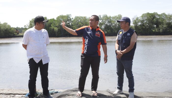 Bupati Luwu Timur Tinjau Rencana Pelebaran Jalan Menuju TPI Wotu