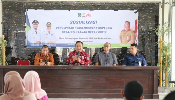 Wujudkan Koperasi Tangguh, Disdagkop Lutim Gelar Sosialisasi KDKMP