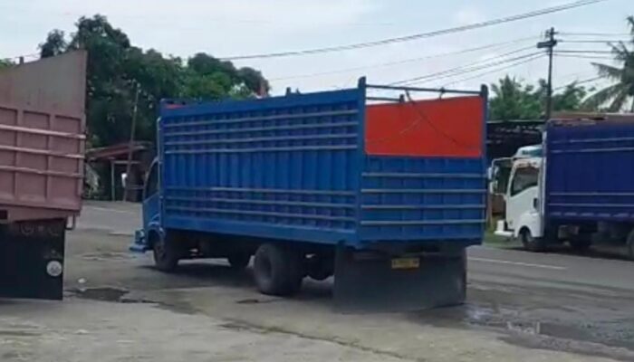 Antrean Panjang di SPBU Sidrap, Aktivis Curiga Ada Truk Pelangsir Solar Subsidi