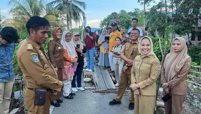Wali Kota Palopo Tinjau Jembatan Batu Walenrang–Mancani yang Putus