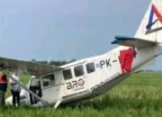 Pesawat Ringan Hilang Kendali dan Jatuh di Area Pertanian Karawang