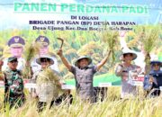 Bone Pertahankan Posisi Lima Besar Produksi Beras Nasional