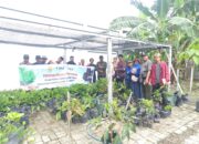 BRMP Sultra Studi ke UMS Rappang, Pelajari Hijauan Pakan dan Kunyit Hitam