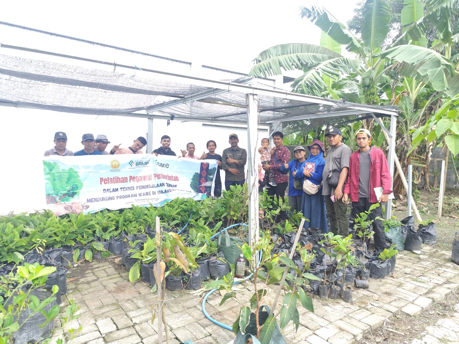 BRMP Sultra Studi ke UMS Rappang, Pelajari Hijauan Pakan dan Kunyit Hitam