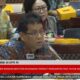 Sentil Thrifting, Menkeu: Kalau Ganja Bayar Pajak Apa Jadi Legal?