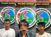 Tiga Terduga Pengedar Ekstasi Diamankan di Maritengngae