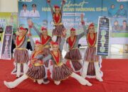 Enerjik! Penampilan Senam Kreasi Dosen STIKES Datu Kamanre Pukau Penonton HKN Luwu