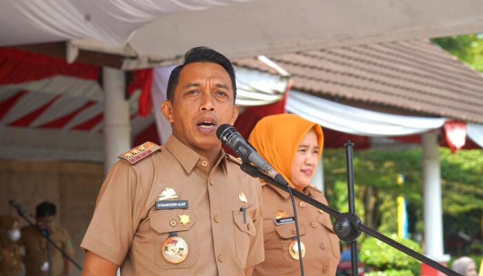 Pemkab Sidrap Terima Penghargaan TP2DD di Ajang Bank Indonesia