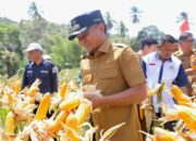 Bupati Bone Terima Apresiasi Proklim Nasional, Dorong Ketahanan Pangan Berkelanjutan
