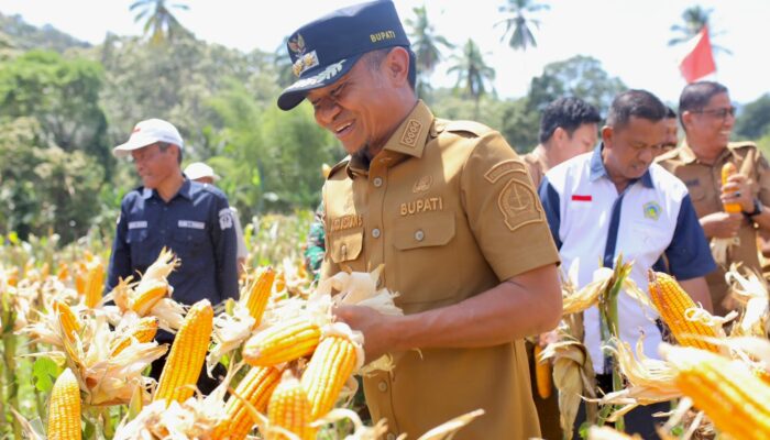 Bupati Bone Terima Apresiasi Proklim Nasional, Dorong Ketahanan Pangan Berkelanjutan