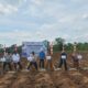 Wabup Bone Dampingi Dirjen Perkebunan Tanam Perdana Bongkar Ratoon Tebu, Bone Dapat Jatah 400 Ha
