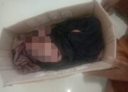 Bayi Laki-Laki Hidup Ditemukan dalam Kardus di Sidrap