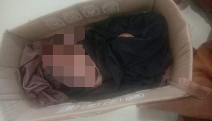 Bayi Laki-Laki Hidup Ditemukan dalam Kardus di Sidrap