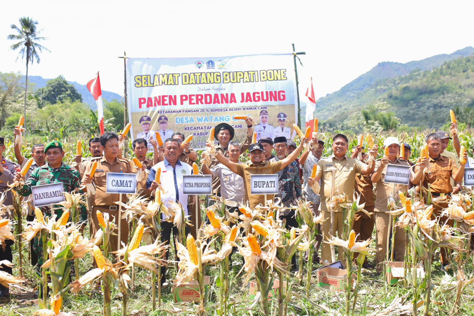 Bupati Andi Asman Sulaiman Pimpin Panen Raya Jagung di Bontocani