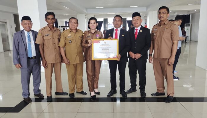 Prestasi Gemilang, Empat Desa di Sidrap Borong Penghargaan dari Gubernur Sulsel