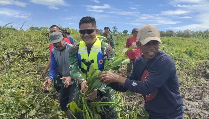Dandim 1420 Sidrap Pimpin Karya Bakti Bersihkan Eceng Gondok di Danau Sidenreng