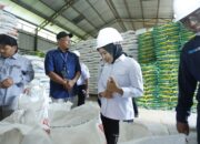 Sidak Gudang Bulog, Naili Trisal: Stok Beras Cukup hingga 15 Bulan
