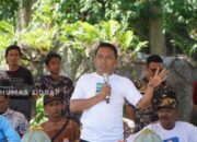 Sidrap Kembangkan 100 Hektare Kelapa Genjah Pandan Wangi Bantuan Kementan