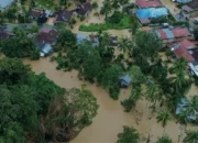 BNPB: Korban Banjir dan Longsor di Sumatra Capai 914 Jiwa