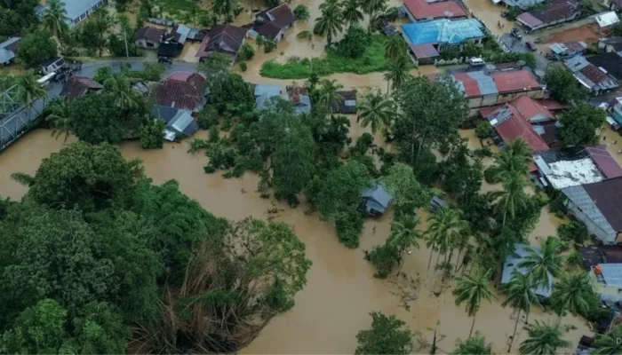 BNPB: Korban Banjir dan Longsor di Sumatra Capai 914 Jiwa