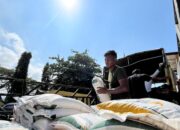 Progres Capai 90 Persen, Bapanas Targetkan Bantuan Pangan di Aceh Rampung Pekan Ini