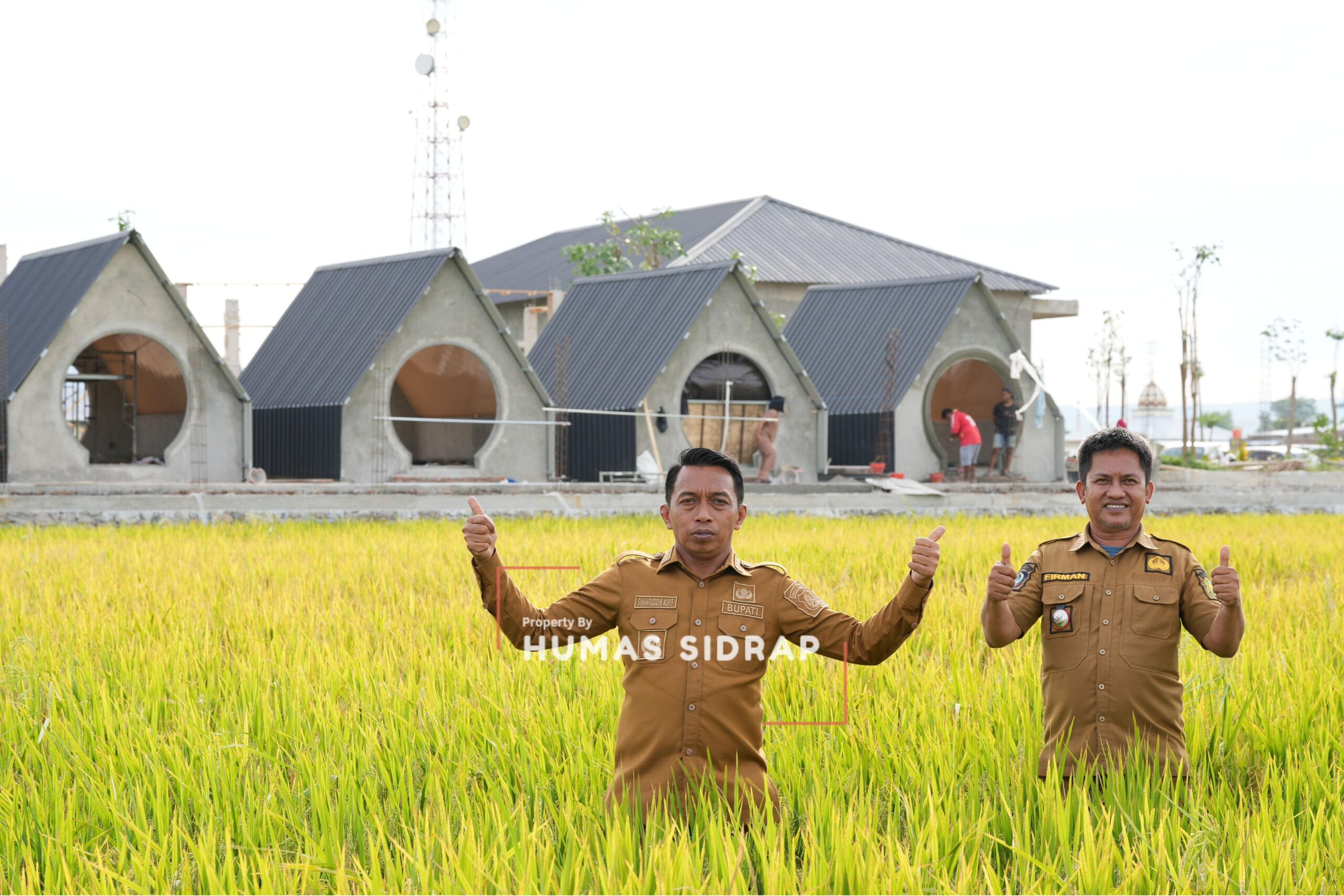 Panen Padi Awal Tahun, Sidrap Terus Jaga Produktivitas Pertanian
