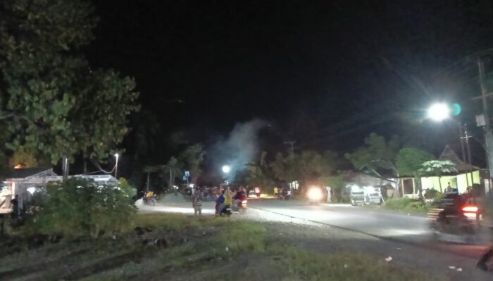 Jalan Trans Sulawesi Lumpuh Dua Hari, Mahasiswa Tebang Pohon Desak DOB Luwu Raya