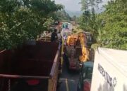 Demo Pemekaran Tutup Trans Sulawesi, Program MBG Prabowo Mandek di Luwu