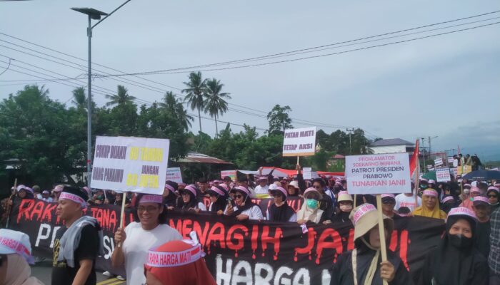 80 Tahun Perlawanan Rakyat Luwu: Dulu Usir Penjajah, Kini Tuntut Otonomi