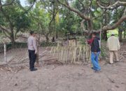 Arena Sabung Ayam Siap Tapi Pemain Hilang, Penggerebekan di Sidrap Diduga Bocor