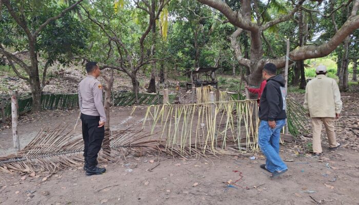 Arena Sabung Ayam Siap Tapi Pemain Hilang, Penggerebekan di Sidrap Diduga Bocor