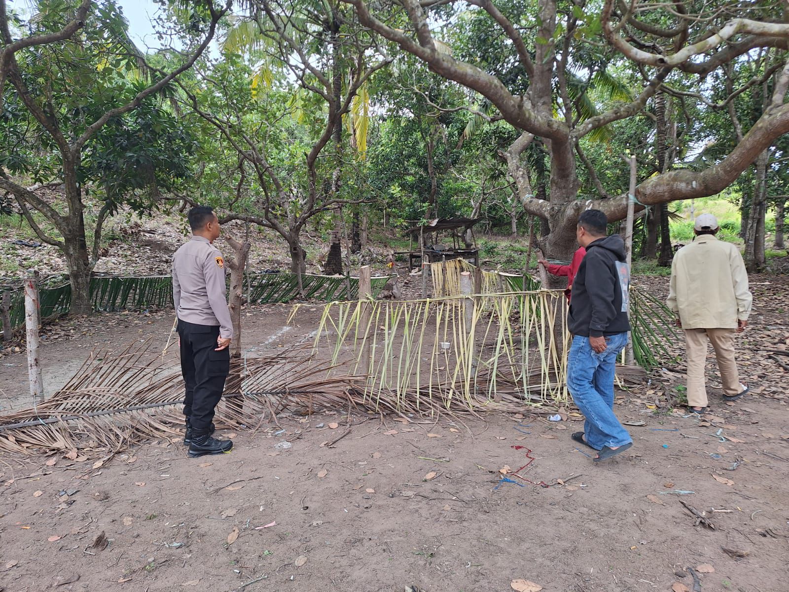 Arena Sabung Ayam Siap Tapi Pemain Hilang, Penggerebekan di Sidrap Diduga Bocor