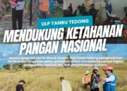 Dukung Ketahanan Pangan, PLN ULP Tanru Tedong Gencarkan Program Listrik Masuk Sawah