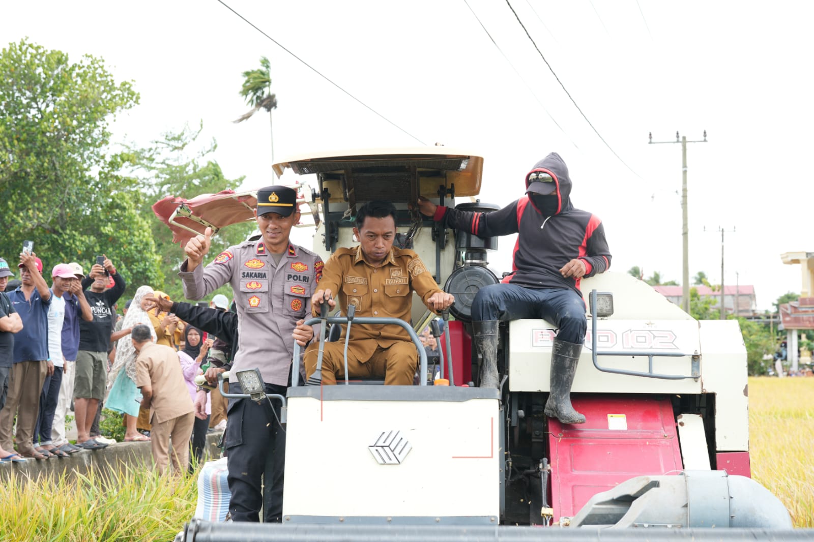 Tingkatkan Ketahanan Pangan, Bupati Syaharuddin Pimpin Panen Raya Padi di Pitu Riase