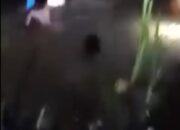Akhir Pelarian Maut! Pembunuh Agen BRI Link Luwu Berhasil Diringkus di Manado