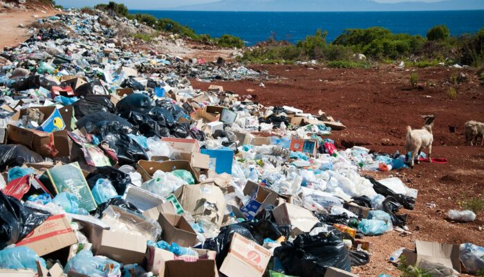 MUI Keluarkan Fatwa Larang Buang Sampah ke Sungai