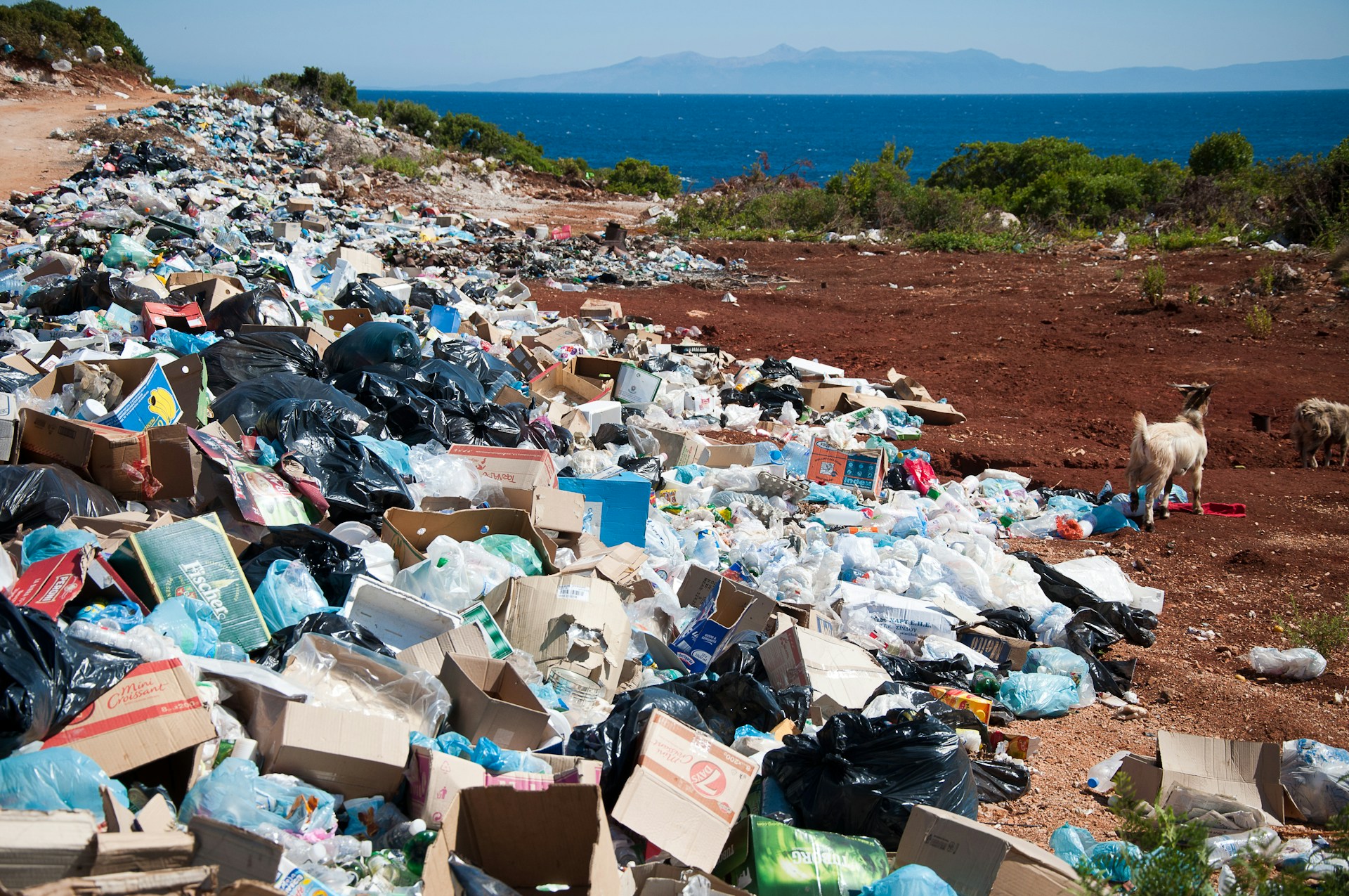 MUI Keluarkan Fatwa Larang Buang Sampah ke Sungai