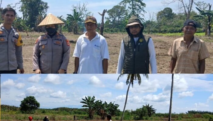 Dukung Ketahanan Pangan Nasional, Polsek Lamasi Pantau Penanaman Jagung di Pompengan