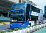 Transjakarta Gilas Pejalan Kaki, Korban Meninggal di Tempat
