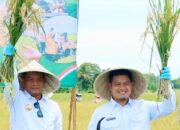 Lompatan 7,43 Persen! Luwu Tancap Gas, Sektor Pertanian Jadi Mesin Utama Pertumbuhan 2025