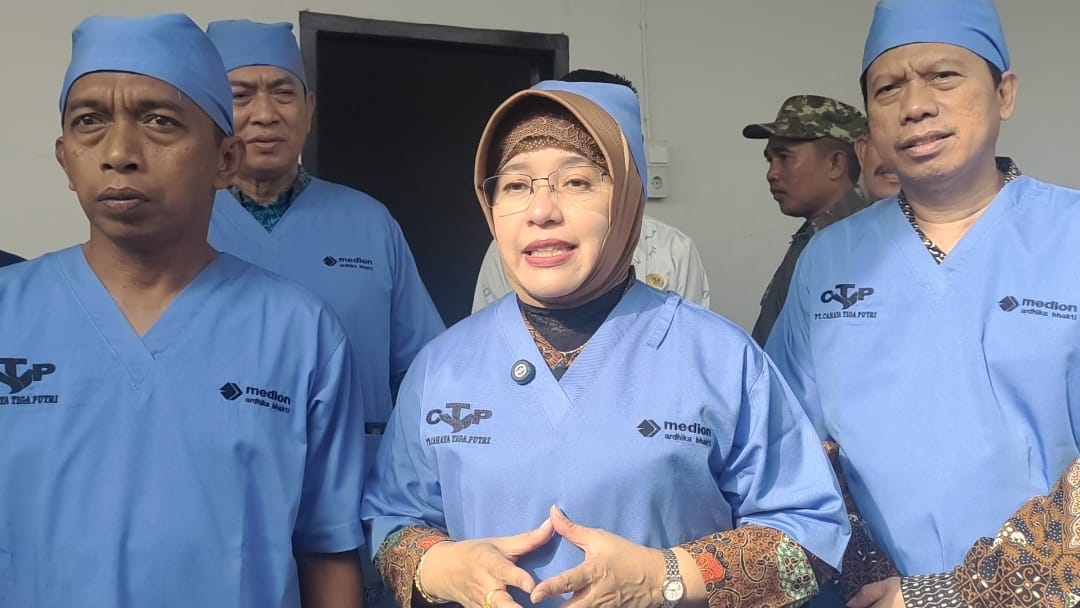 BPS RI Puji Penerapan Teknologi Peternakan Ayam Sidrap