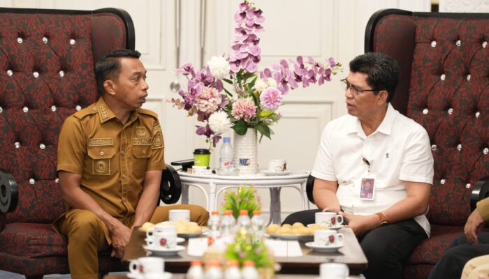 Terima Audiensi BPLIP Makassar, Bupati Sidrap Targetkan Produksi Pertanian 1 Juta Ton