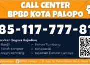 BPBD Palopo Imbau Warga Tetap Tenang Hadapi Isu Fenomena El Nino Godzilla
