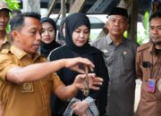 Wagub Sulsel Fatmawati Rusdi Olah Ikan Sapu Sapu Jadi Pakan Ternak di Sidrap