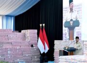 Potret Uang Rp10 Triliun Hasil Denda Kasus Hutan yang Disita Negara