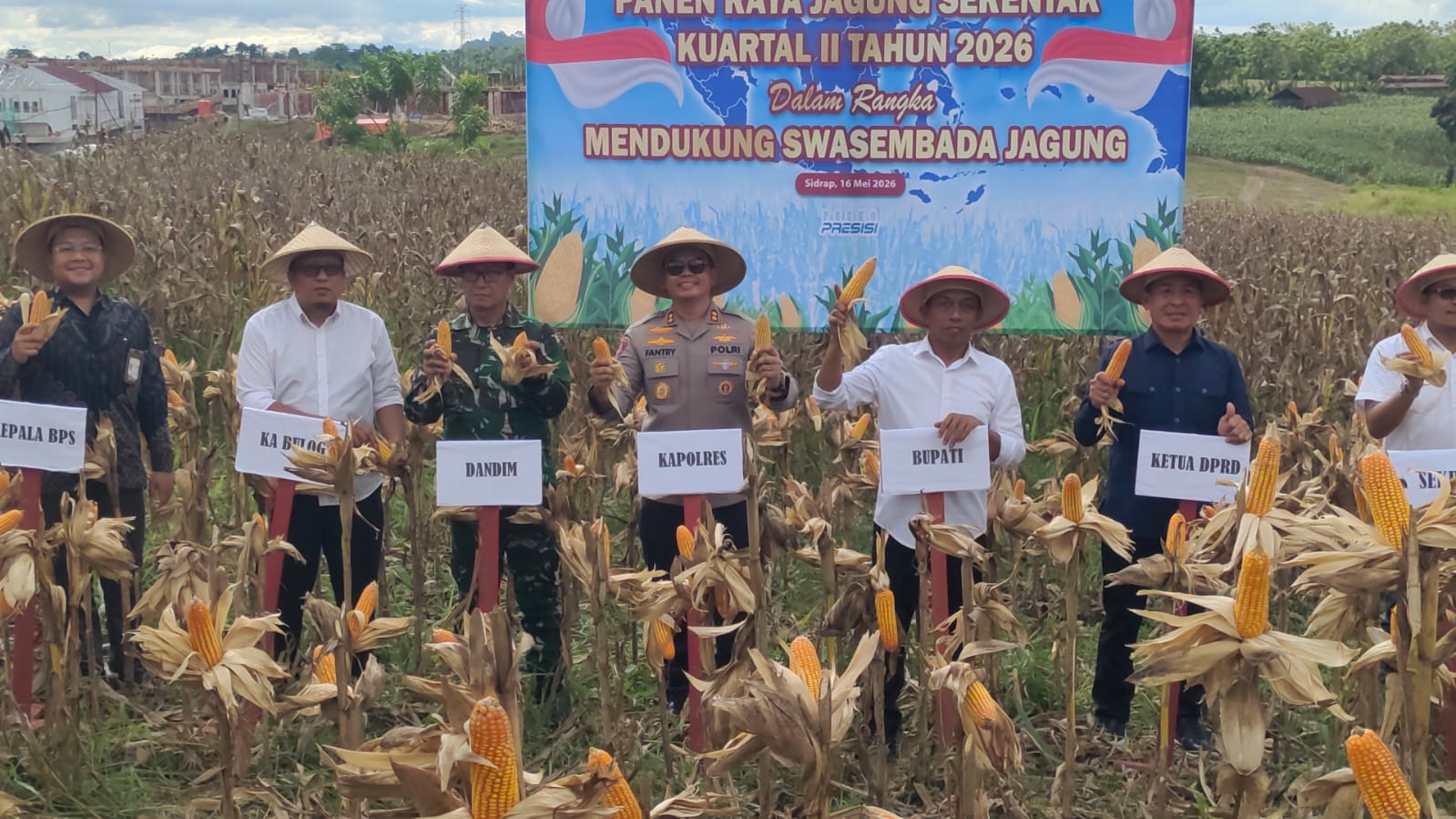 Panen Raya Jagung Serentak, Simbol Kuat Kolaborasi Wujudkan Mandiri Pangan