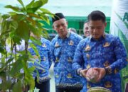 Hadiri Tudang Sipulung 2026, Ini Harapan Wakil Bupati Luwu untuk Petani