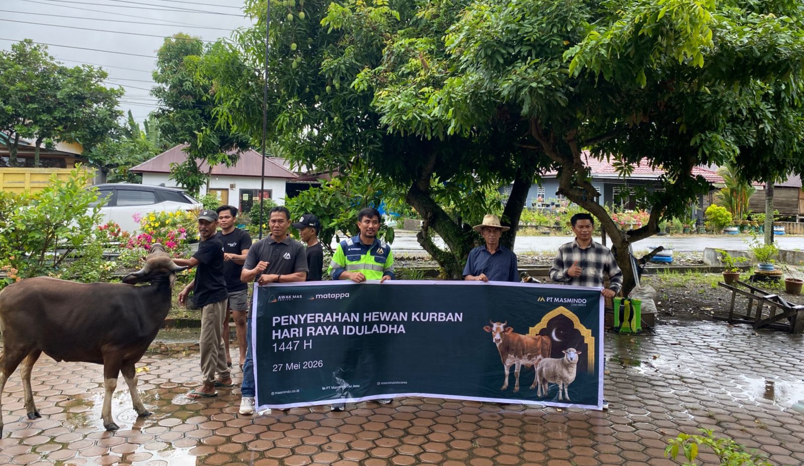 PT Masmindo Salurkan 34 Sapi Kurban, Libatkan Peternak dan Koperasi Lokal