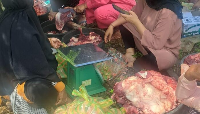 Pemdes Bukit Harapan Apresiasi PT BMS, 5 Tahun Konsisten Berqurban dan Bangun Jalan Desa 1,7 Kilometer