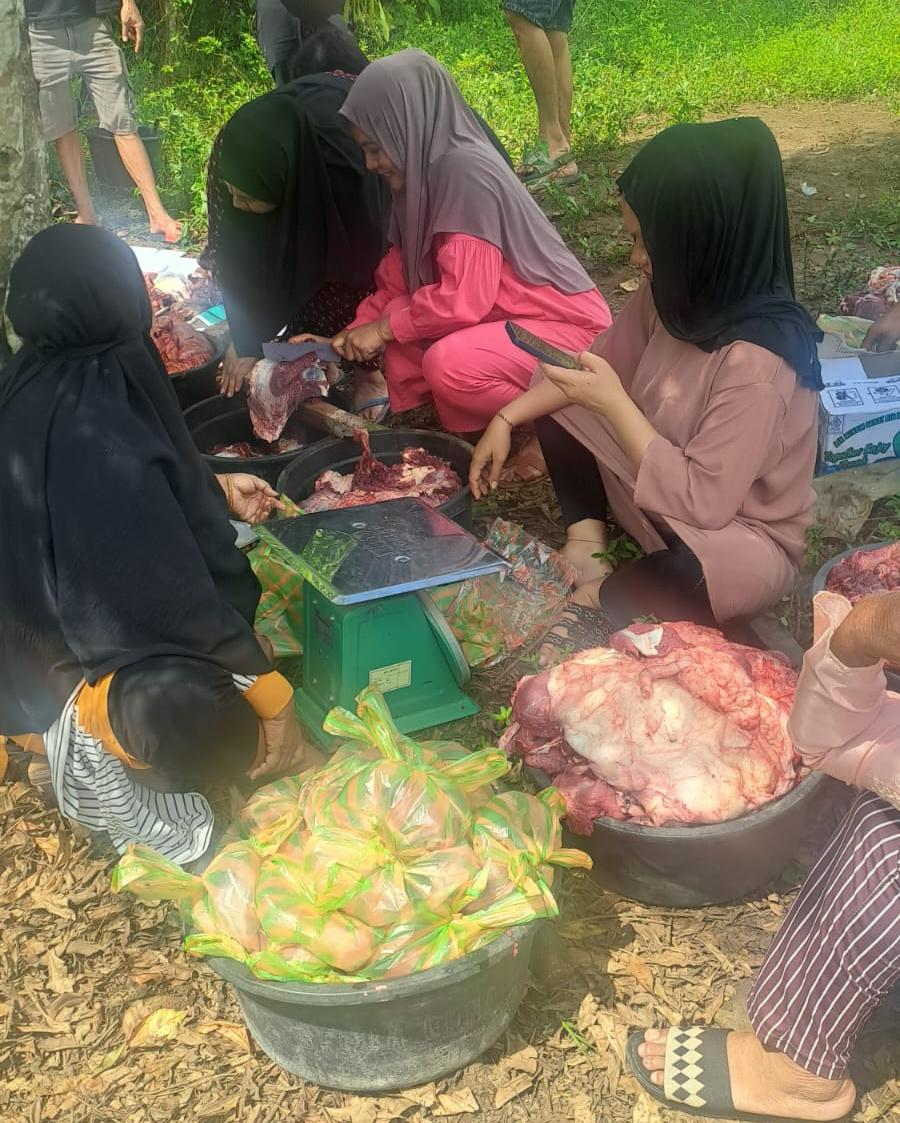 Pemdes Bukit Harapan Apresiasi PT BMS, 5 Tahun Konsisten Berqurban dan Bangun Jalan Desa 1,7 Kilometer